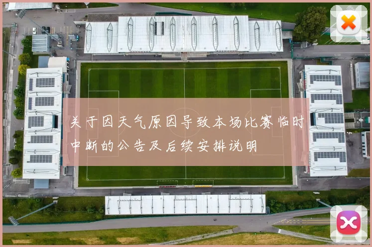 关于因天气原因导致本场比赛临时中断的公告及后续安排说明