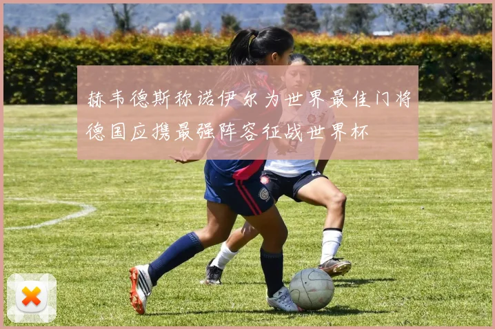 赫韦德斯称诺伊尔为世界最佳门将德国应携最强阵容征战世界杯
