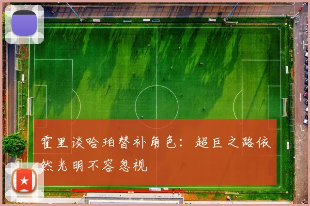 霍里谈哈珀替补角色：超巨之路依然光明不容忽视
